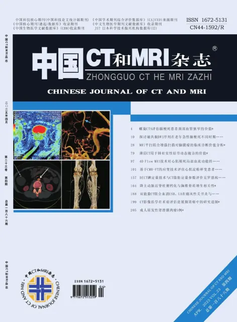 中国CT和MRI杂志（科技核心）