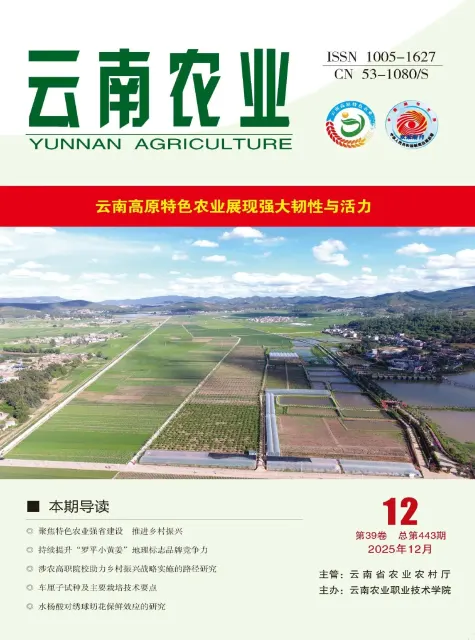云南农业