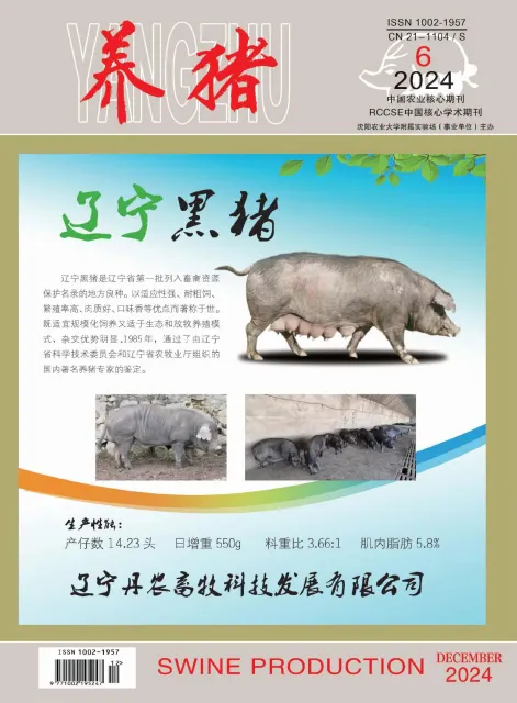 养猪