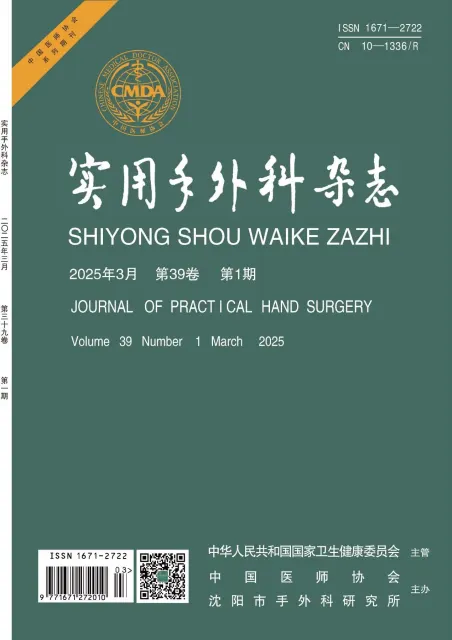 实用手外科杂志