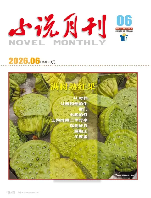 小说月刊（上半月）