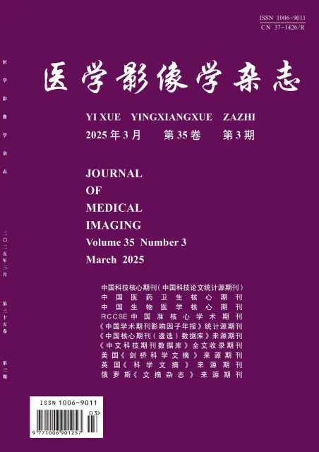 医学影像学杂志（科技核心）