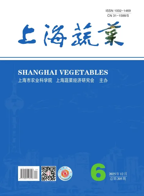 上海蔬菜