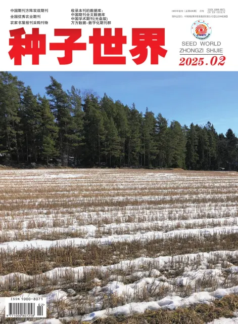 种子世界