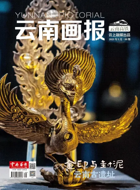 云南画报