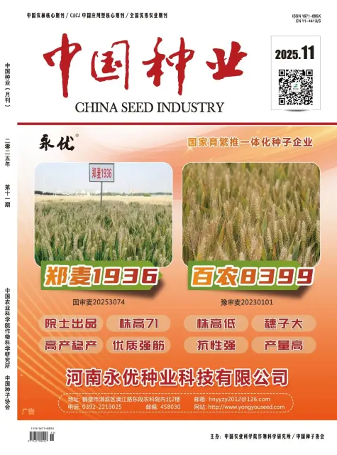 中国种业