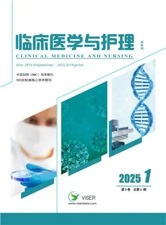 临床医学与护理（中文国际刊）